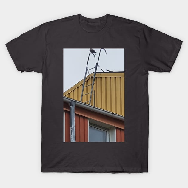 Bird On The Roof T-Shirt by Alemway